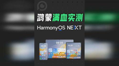 纯血鸿蒙系统最新爆料,前沿科技与未来生态的完美融合